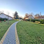 Lotusz Medencevel *